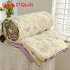 Flower Animal Cake Print Summer Air Conditioning Blanket Quilt Gift