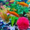 1 PC Plastic Lotus Leaf Grass Plants Artificial Aquarium Decorations Plants Fish Tank Grass Flower Ornament Decor