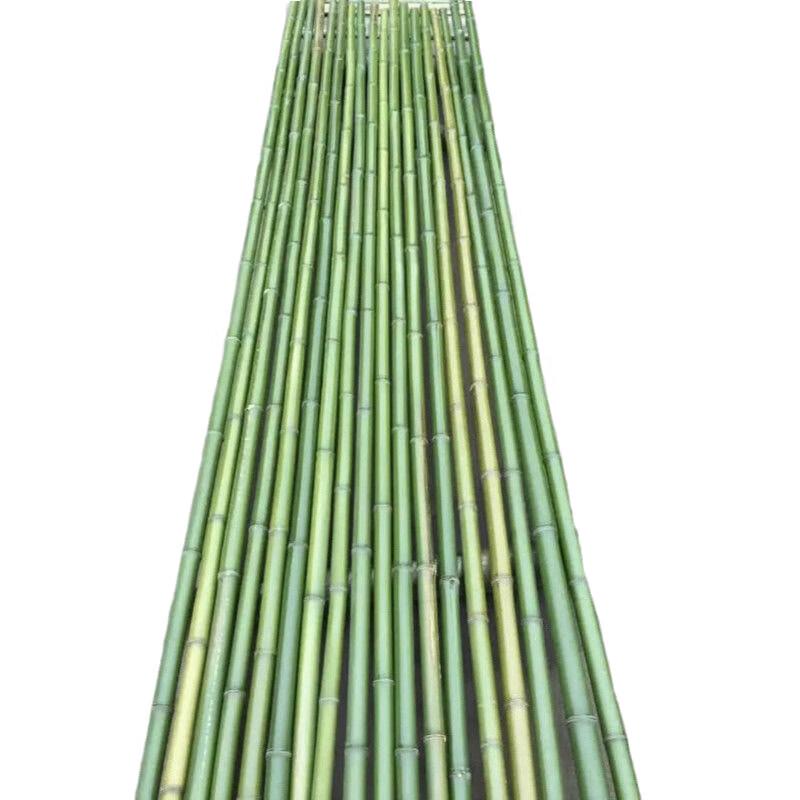 Bamboo Poles for Gardening and Fencing