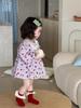 Korean Style Lace Romper Dress for Girls - Autumn Strawberry Princess Dress