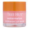 TREE HUT מסכת לילה לשפתיים 17 גרם (3 סוגים)