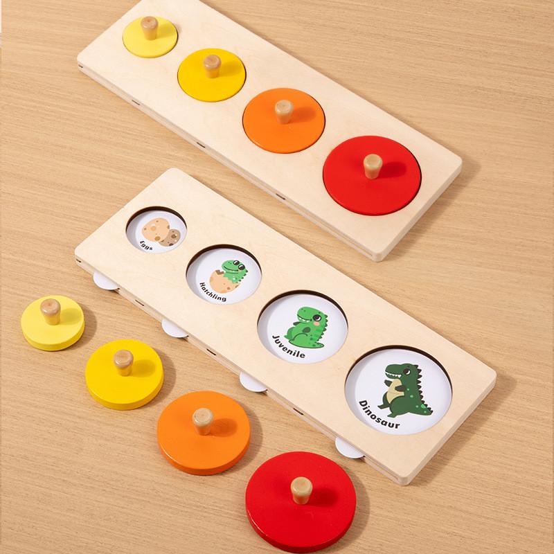 Wooden Life Cycle Puzzle Toy With Geometric Shapes For Early Learning And Play