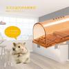 BEYOURCHOI Mouse Mouse Mouse for Small Mice Mouse Mouse Mouse Easy To Set Reusable of 2 Trap, Step-Type Trap, Repellent, Cylindrical, Only, Trap,