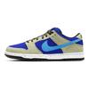 Nike Sb Dunk Low 'ACG Celadon' Skateboard Shoes BQ6817-301