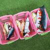Fish Cat Catnip Toy 20cm (Koi)