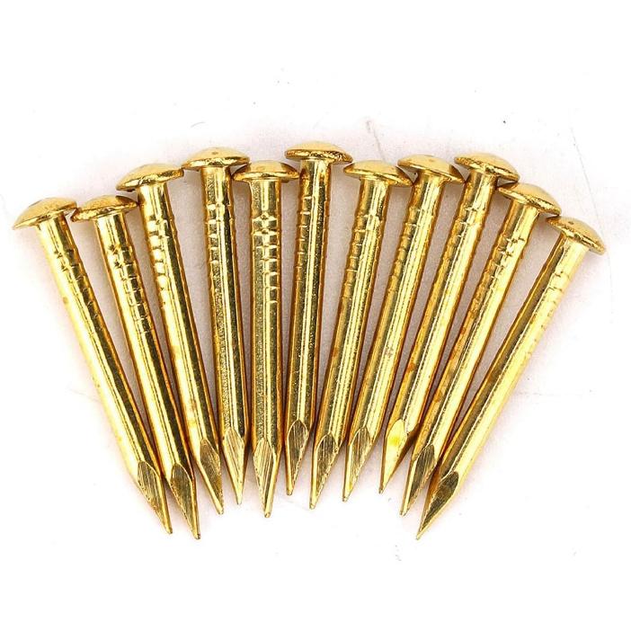 Brass Nails, 100 Pieces Round Head Gold Nails, Brass Wall Pins 10mm 15mm 18mm 22mm, Furniture Brass Tacks for Wood, for Hanging Picture Frame Mirror,