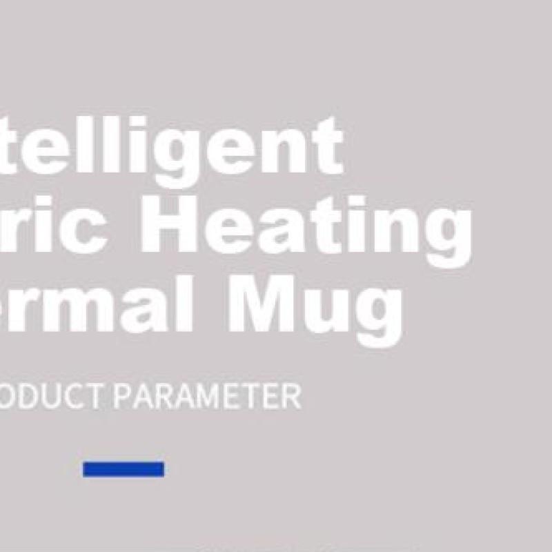 

12V-24V Coffee Milk Heated Kettle Stainless Steel Car Heated Smart Mug Smart Temperature Control Water Warmer Bottle Cup China Mainland