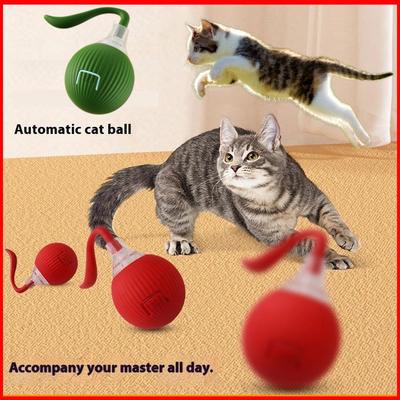 Katzen – Katzenspielzeug