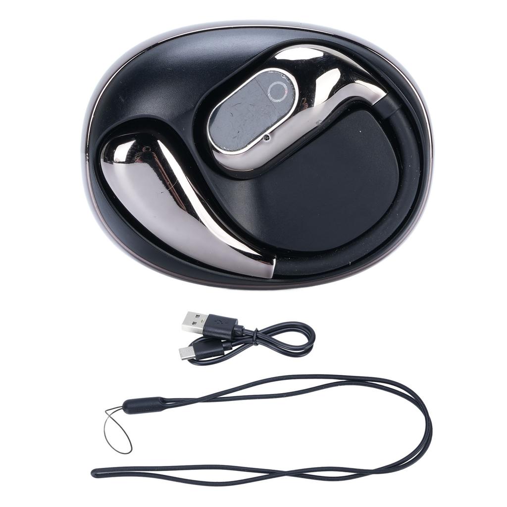 AI Language Translation Earbuds Noise Cancelling Wireless Bluetooth 5.0 Translator Earphone 138 Languages Real Time Two