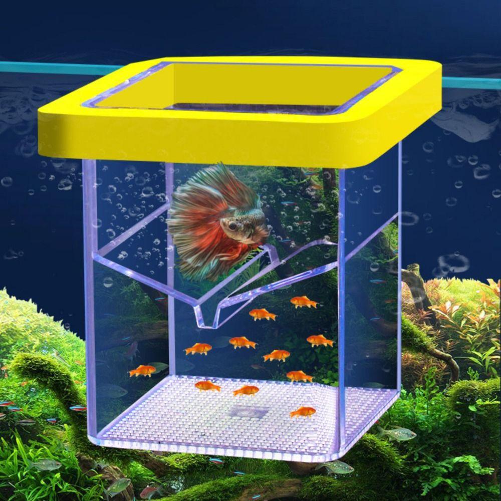 Double Layer Aquarium Breeder Box Clear Fish Breeding Isolation Box  Betta
