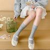 Female Summer Thin Model All Match Show Thin Mesh Breathable Ballet Wind Calf Pile Socks