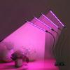LED Full Spectrum Red Blue Grow Light,10 Dimmable Levels Plant Lamp for Hydroponic Greenhouse Indoor Vegetable Flower Potted Plant Cultivation