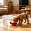 Automatic Pet Water Fountain With Large Capacity Tanks And Quiet Operations For Dog Cats Daily Watering Essential