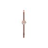 Casio Women's Standard Series 31.5mm Gold Watch LTPE154MPG-4A LTPE154MPG-4A