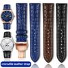 Krokodilleder Uhrenarmband 16mm 18mm 19mm 20mm 21mm 22mm Blau Braun Schwarz Echtes Leder Armband Edelstahl Schließe Armbänder