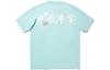 Li Ning T Shirt Unisex Lake Gray Blue AHSU259-1