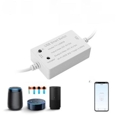 Graffiti Tuya Smart WiFi USB Switch with Alexa Voice Control