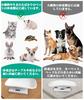 GHDVOP Pet Weight 1g Small Digital Pet Electronic Weight Scale for Small Digital Electronic Up To For Puppies and Small Weight Includes Pet Includes