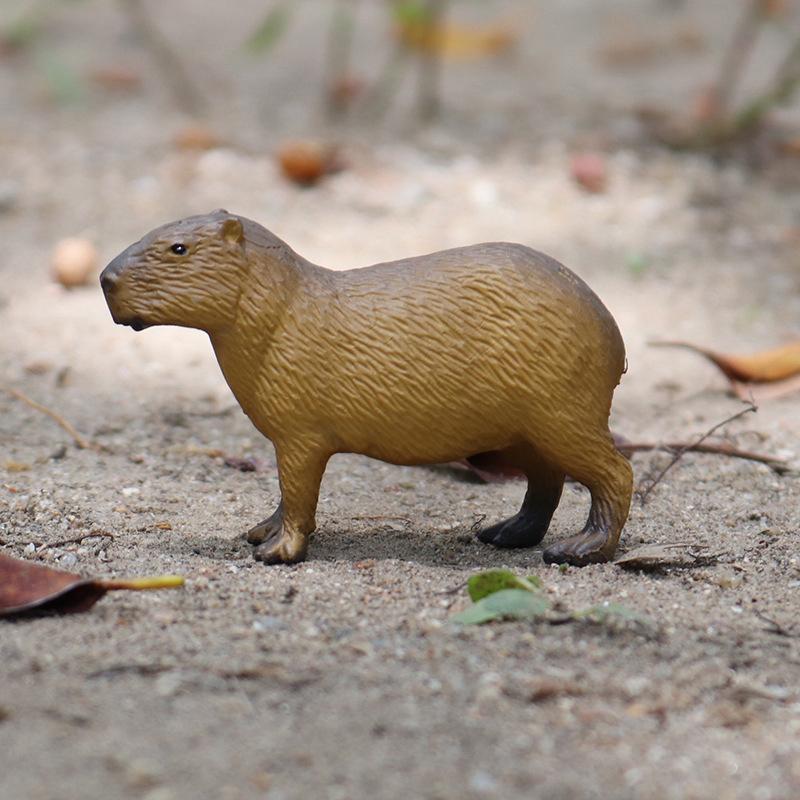 1Pc Simulation Toy Wild Animal Model Simulation Capybara Tabletop Decoration Cognitive Model