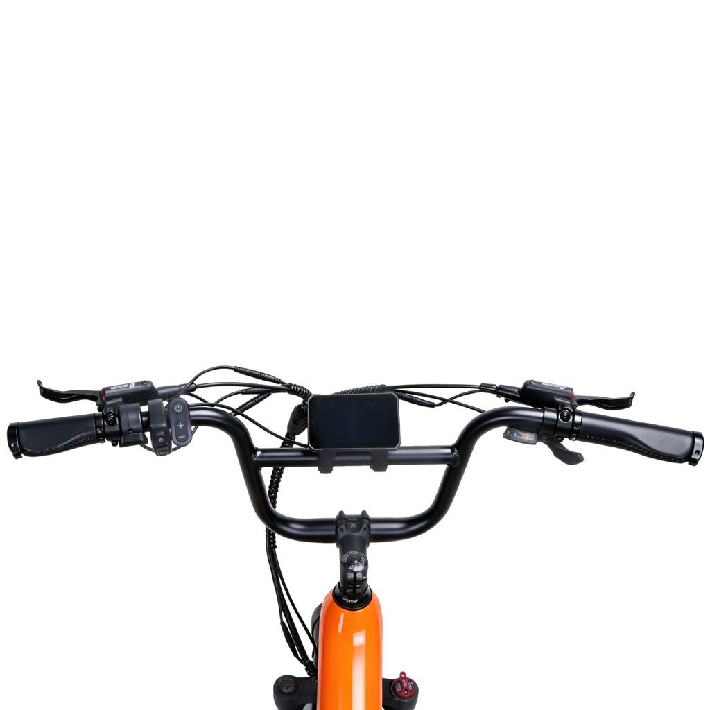 KINGBULL Voyager 2.0 20-Zoll Cargo E-Bike mit einem 48V 15Ah Akku, einem 750W Motor, maximaler Reichweite von bis zu 90 Kilometern.