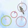 Wear-Resisting Bird Toy Swing Hanging Parrot Perch Multi-Function Parrot Swing Ring  Cockatiel