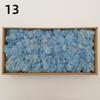 Neue 50/30/10g Künstliche Grüne Pflanzen Ewiges Leben Moos Gras Heim Garten Dekoration Mini Landschaft Künstliche Blume DIY Bastelgeschenke