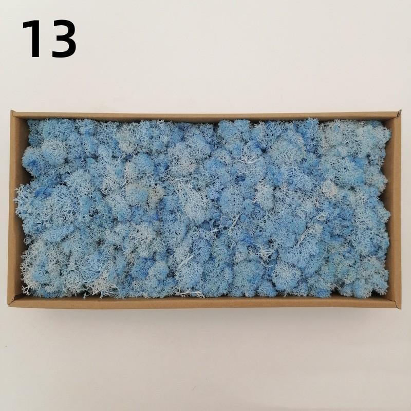 Neue 50/30/10g Künstliche Grüne Pflanzen Ewiges Leben Moos Gras Heim Garten Dekoration Mini Landschaft Künstliche Blume DIY Bastelgeschenke