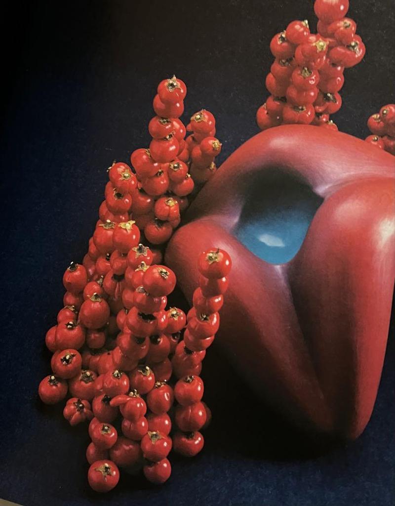 [USED] Kazuya Sugita's Works Collection: Kogyo