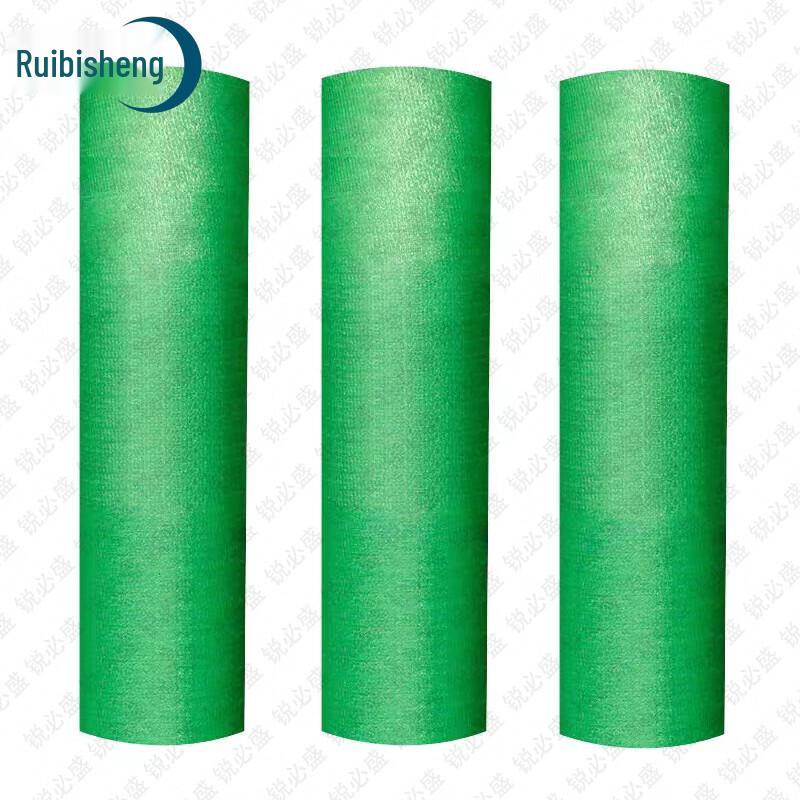 Ruibissheng Outdoor Thickened Green Sunshade Net
