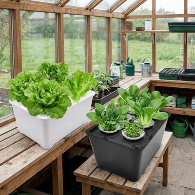 6 Holes Hydroponic Grower Kit Self Watering Plastic Nursery Pots Seedling Pots Thicken Versatile Cultivation Box