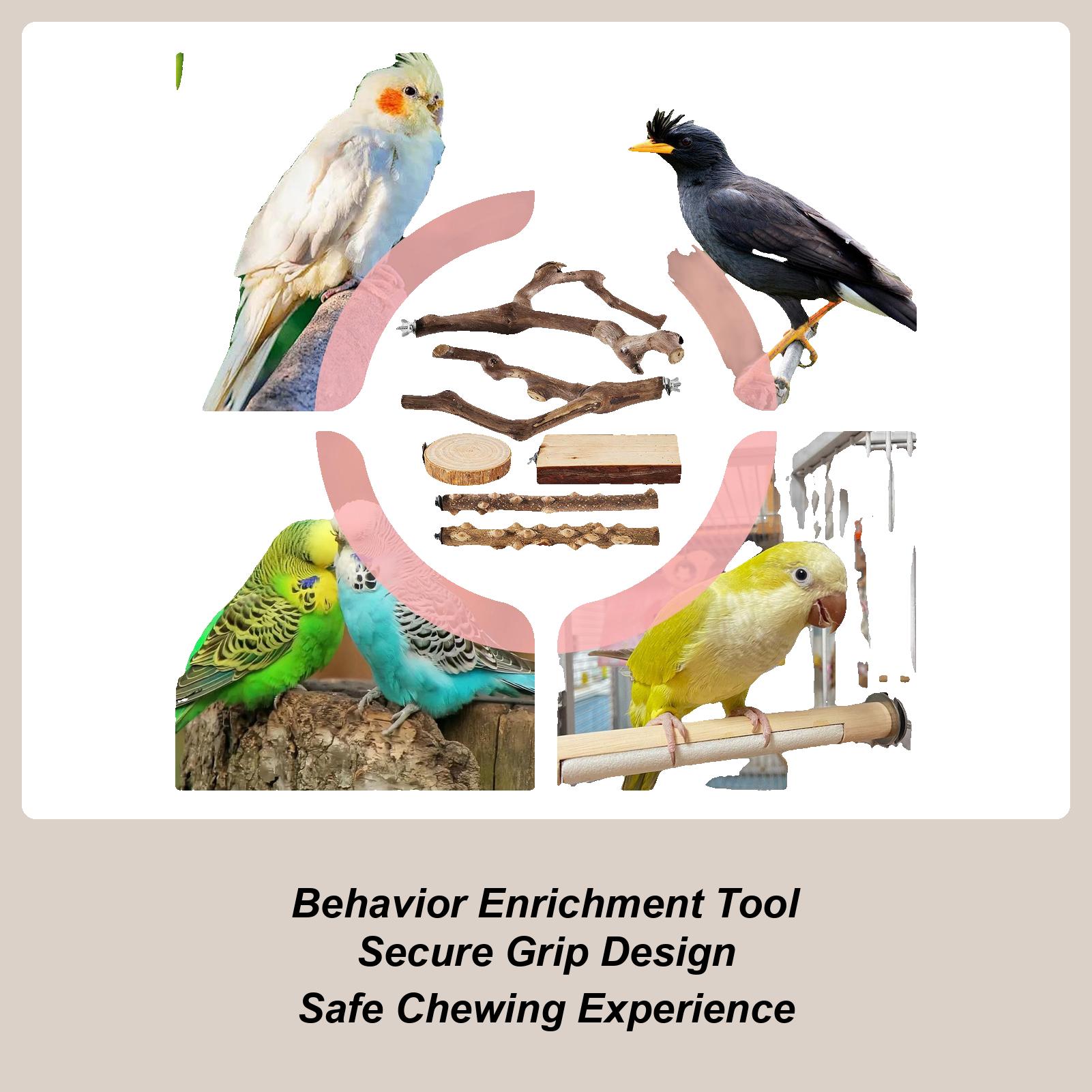 

Bird Cage Perch 6 Pieces Wooden Anti-Slip Natural Cockatiel Perch Bird Stand Set For Macaw Cockatiel Lovebird Finch Conure China Mainland