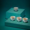 Edenus Ceramic Gongfu Tea Set Gift Edition