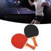 REGAIL  08     Balls Paddles Set Table Tennis Handshake Racket Set for Home Entertainment