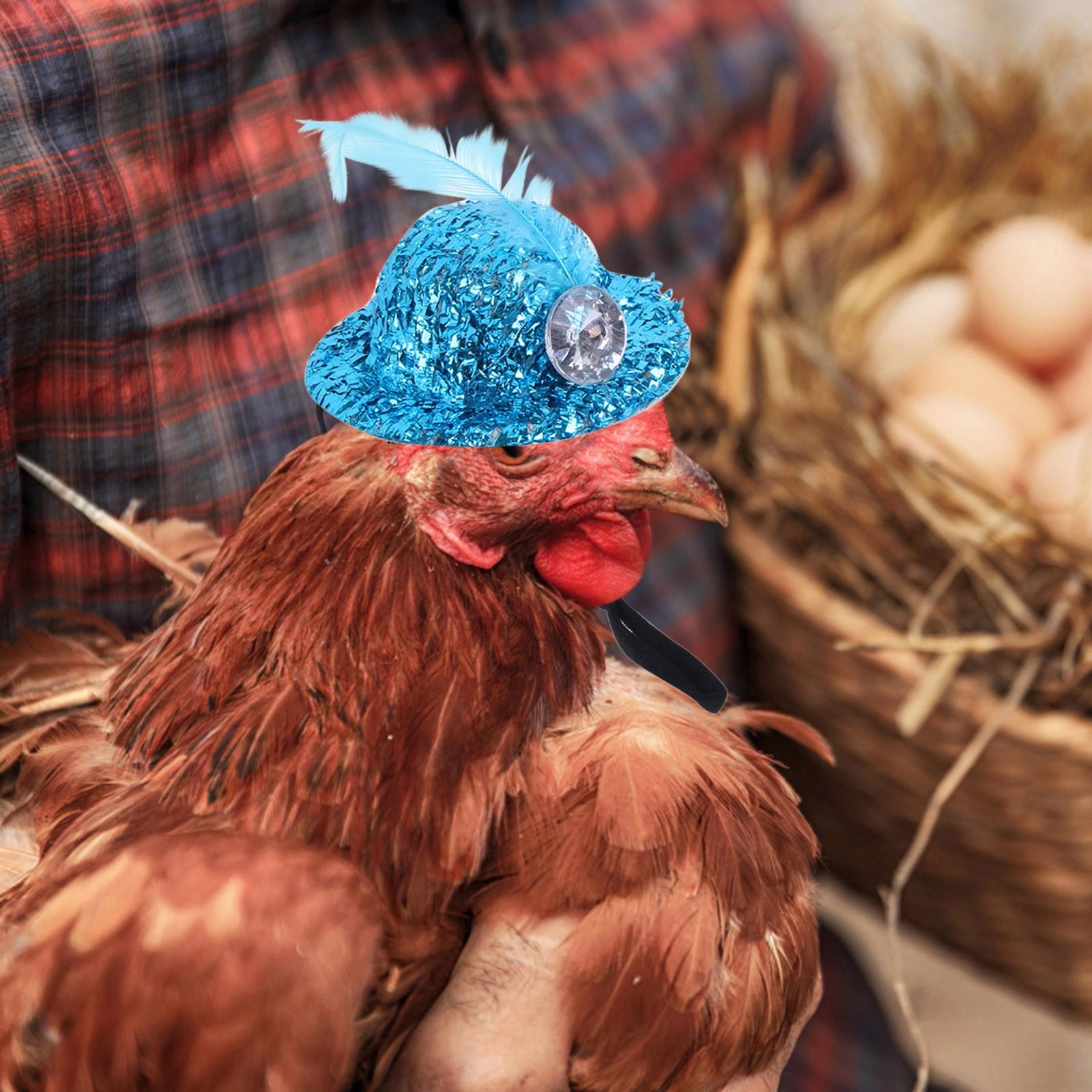 

Chicken Hats For Hen Small Funny Chicken Accessories Feather Top Hat One Size синий