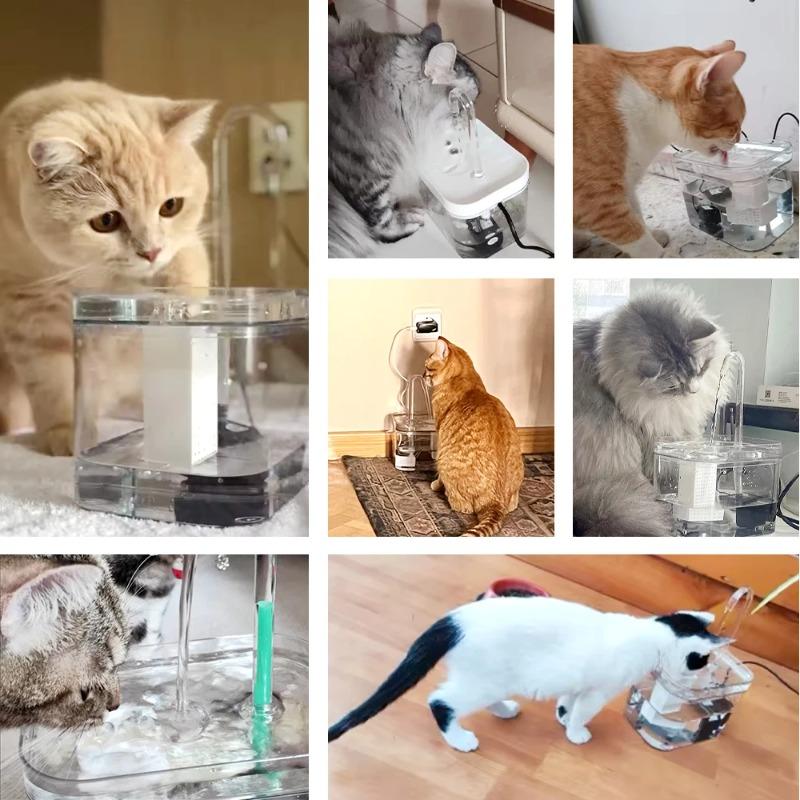 Katzentrinkbrunnen, automatischer Filter, transparenter Katzentrinker, elektrischer USB-Stummschaltungs-Umwälzfiltertrinker für Katzen, Wasserspender