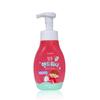 GAMDONG Hand Wash Floral Scent 300ml (40904793)