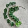 Simulation Spring Rain Leaves 1.8m Plastic Plants Vines Cafe Balcony Decoration Artificial Turtle Back Leaf Green Plant Vine
