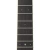 Yamaha acoustic guitar LJ6 are BS equipped with passive type pickup