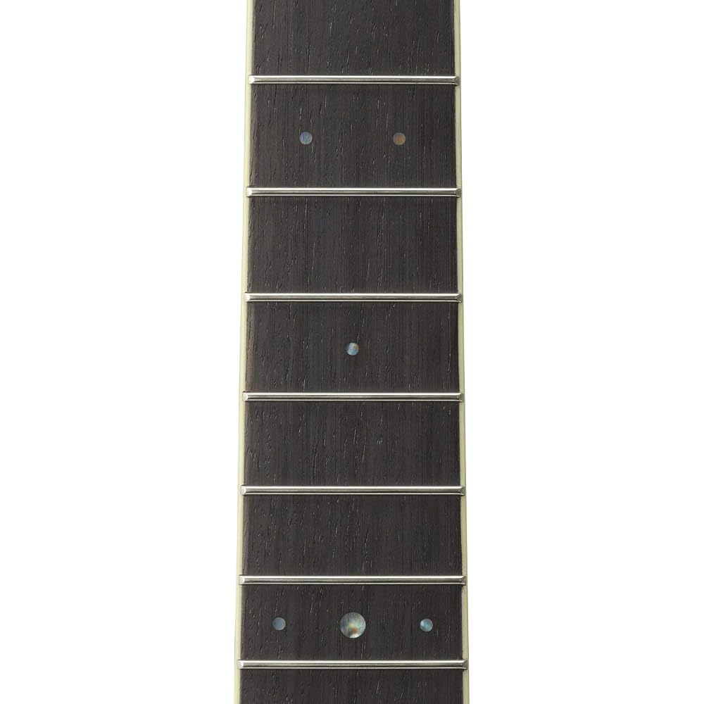 Yamaha acoustic guitar LJ6 are BS equipped with passive type pickup