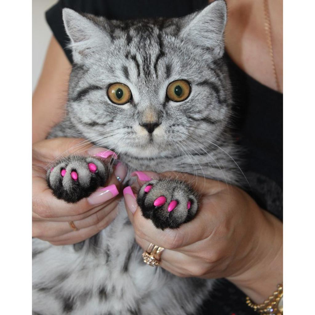 20Pcs Domestic Animal Sheath Pet Nail Covers Protect Small Nails