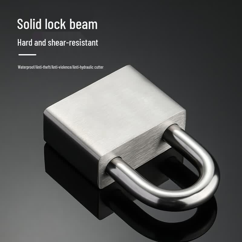 Chuke Security Padlock