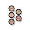 The Saem Cover Perfection Pot Concealer