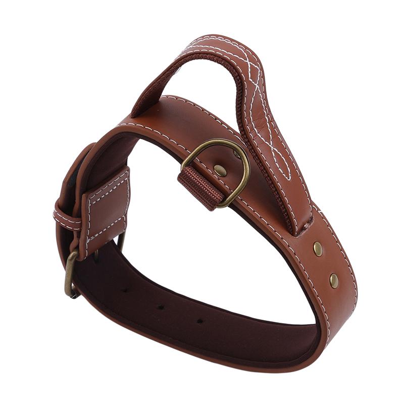 Buy Pet Dog Collar Integrated Short Elastic Dog Leash Reflective