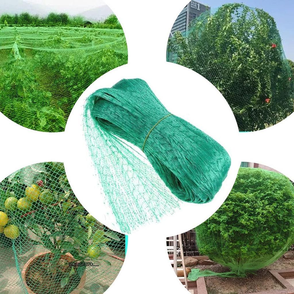 Garden Bird Protection Net 4m x 10m Polyethylene Mesh Netting for Orchard Vineyard Crop Protection Durable Extruded Material
