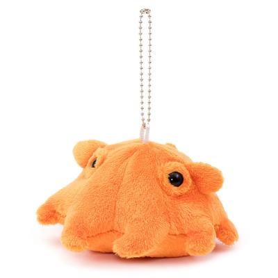 [COLORATA] Colorata Plush Mascot - Dumbo Octopus (Realistic Deep-Sea CreatureChain Included) Keychain Doll Gift Present (Twice Inspected)  Christmas