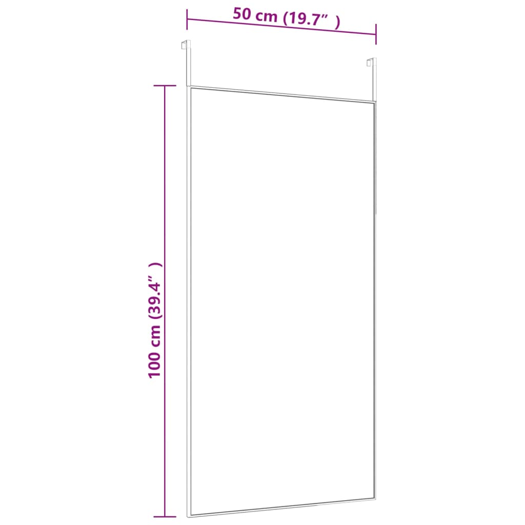 Door Mirror Black 50x100 cm Glass and Aluminum
