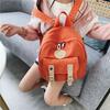Stylish And Waterproof Nylon Backpack For Girls With Trendy Color Block Design
