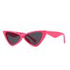 1038 Zebra Pattern Catwalk Sunglasses Women Narrow Model Street Style Cat Eye Fashion Trendy