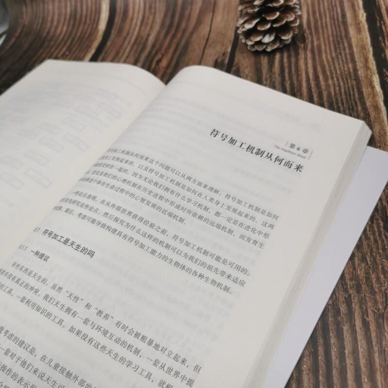 Algebraic Brain: DeepSeek AI Tutorial