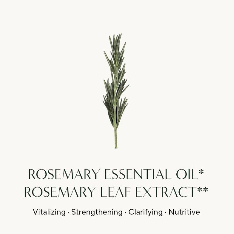 Aromatica Rosemary Root Enhancer 100ml, Refill 100ml (7 Options)